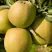 Яблоня МУТСУ в Видном