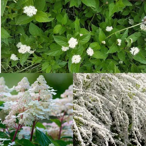 Комплект СКАНДИНАВСКИЙ СТИЛЬ в Видном