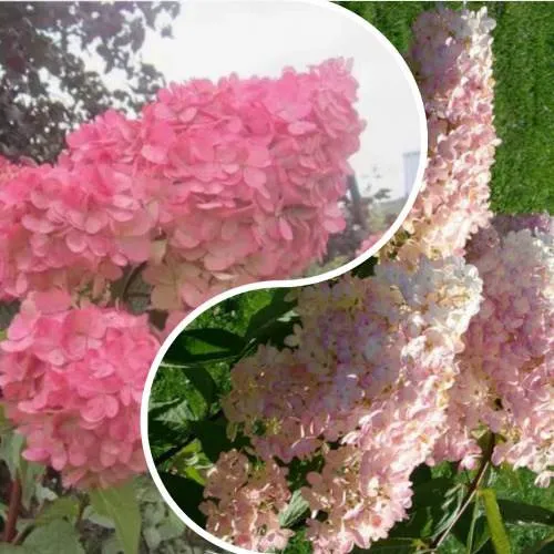 Комплект МНОГОГРАННОСТЬ в Видном