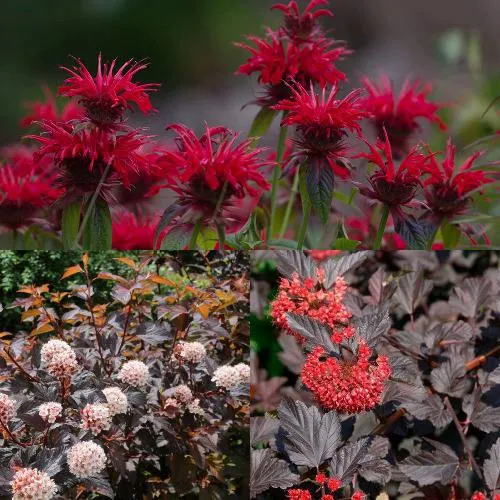 Комплект ОГНЕННЫЙ МИКС в Видном