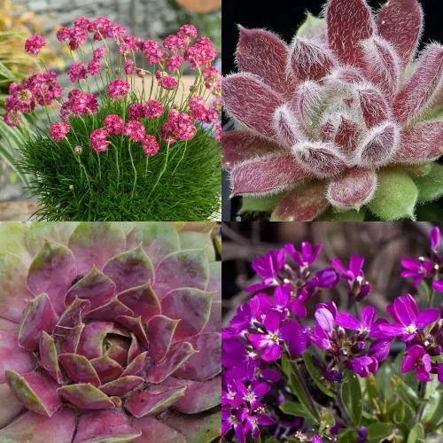 Комплект МИНИ САД в Видном