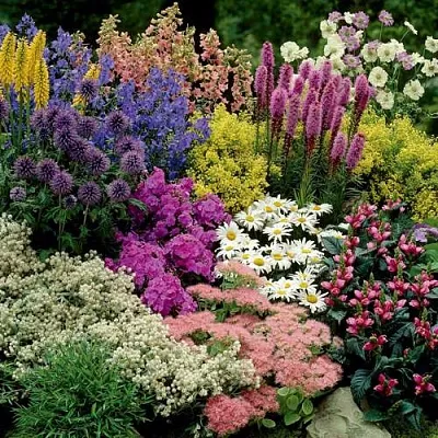 Травы  Травы в Видном